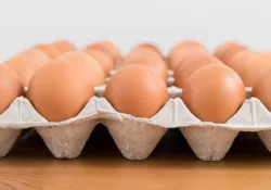 Du fipronil dans des œufs ?